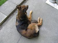 2010_06_29 bella 001